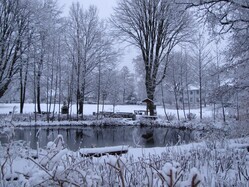 der Anstaltsteich im Winter